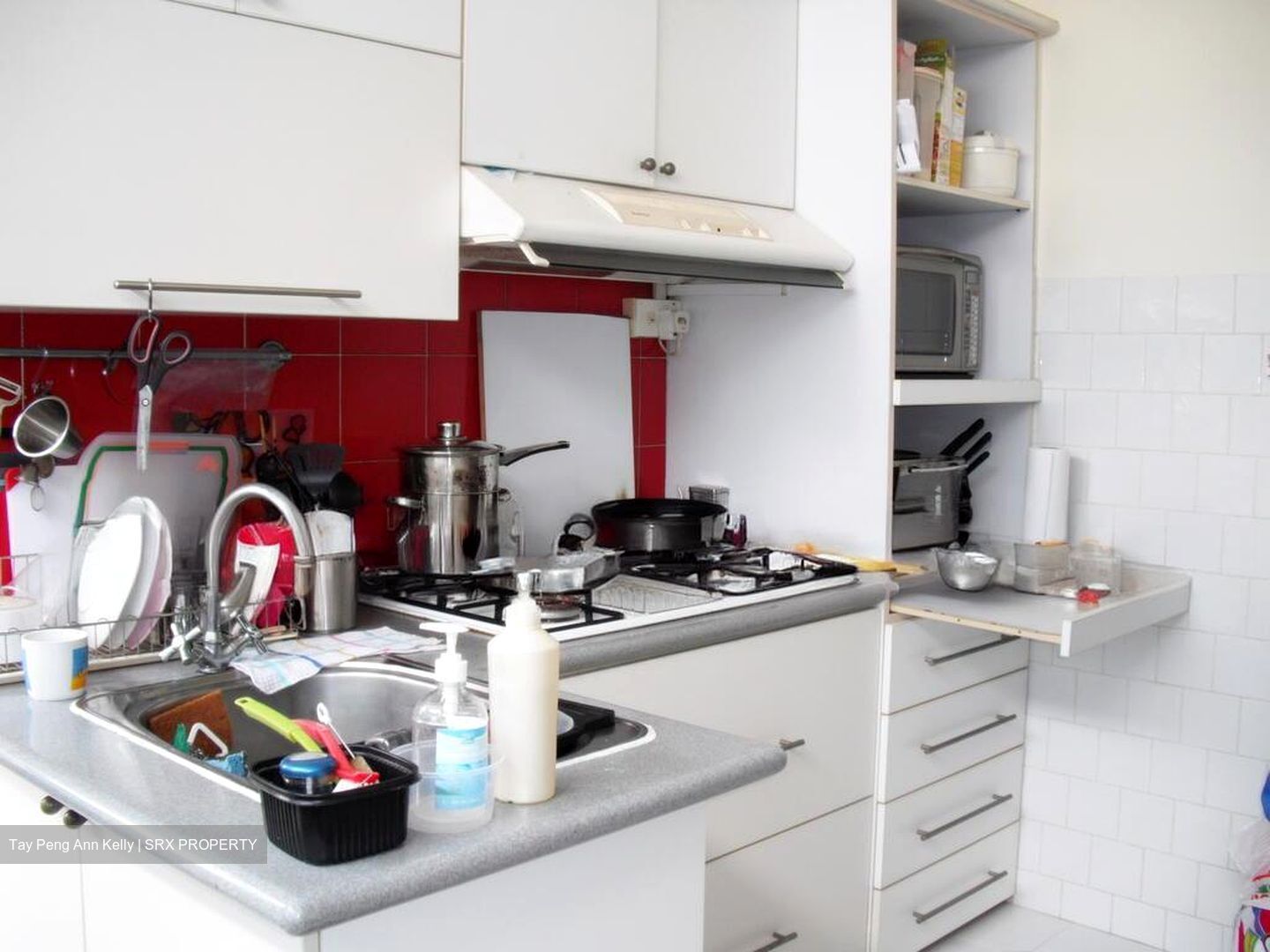 Clementi Park (D21), Condominium #496114261